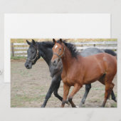 Papeterie Jouer au cheval (Devant / Derrière)