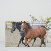 Papeterie Jouer au cheval (Debout devant)