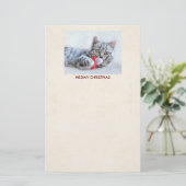 Papeterie Joyeux Noël Minou Chat Gris Tigré Mignon (Debout devant)