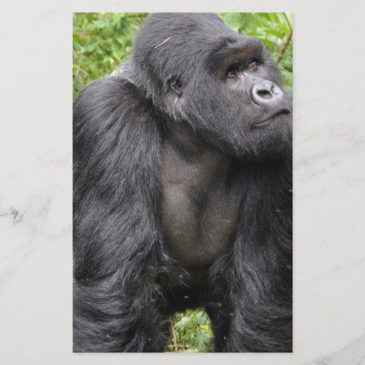 Papeterie Joyeux singe (Devant)