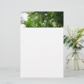 Papeterie Jungle Ropes Rainforest Photographie (Debout devant)