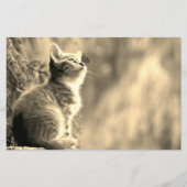 Papeterie Kitten avec ami papillon (Devant)