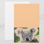 Papeterie Koala Bears (Devant / Derrière)