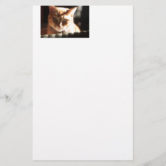 Papeterie Kute Kitty ! (Devant)