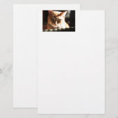 Papeterie Kute Kitty ! (Devant / Derrière)