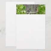 Papeterie La photographie de la Paruline d'Audubon (Devant / Derrière)