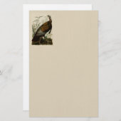 Papeterie La Turquie sauvage par John Audubon (Devant / Derrière)