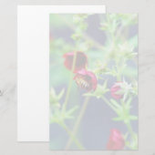 Papeterie L'abeille à la fleur rouge (Devant / Derrière)