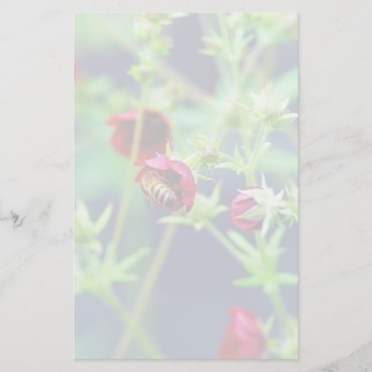 Papeterie L'abeille à la fleur rouge (Devant)