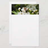 Papeterie L'abeille collecte le pollen (Devant / Derrière)