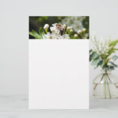 Papeterie L'abeille collecte le pollen (Debout devant)