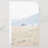 Papeterie Lamar (Devant / Derrière)