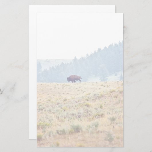 Papeterie Lamar (Devant / Derrière)