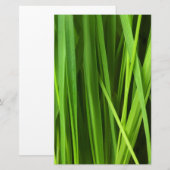 Papeterie Lames d'herbe (Devant / Derrière)