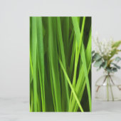 Papeterie Lames d'herbe (Debout devant)