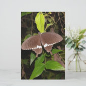 PAPETERIE L'AMOUR CADEAU BETTERFLY POUR N'IMPORTE QUI (Debout devant)