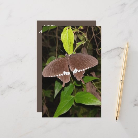 PAPETERIE L'AMOUR CADEAU BETTERFLY POUR N'IMPORTE QUI (Devant/Arrière en situation)