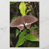 PAPETERIE L'AMOUR CADEAU BETTERFLY POUR N'IMPORTE QUI (Devant)