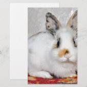 Papeterie Lapin de Pâques (Devant / Derrière)