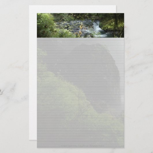 Papeterie L'argent tombe papier de note (Devant / Derrière)