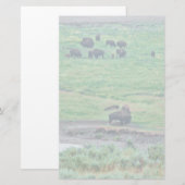 Papeterie Le bison américain (Devant / Derrière)
