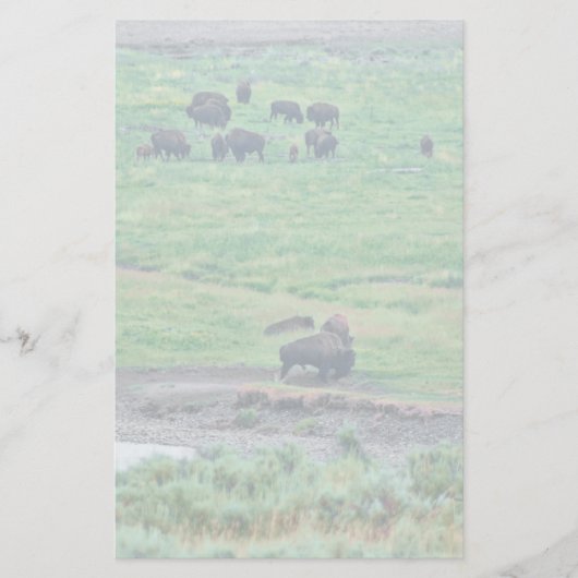 Papeterie Le bison américain (Devant)