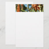 Papeterie Le colibri de Chine noire en vol (Devant / Derrière)