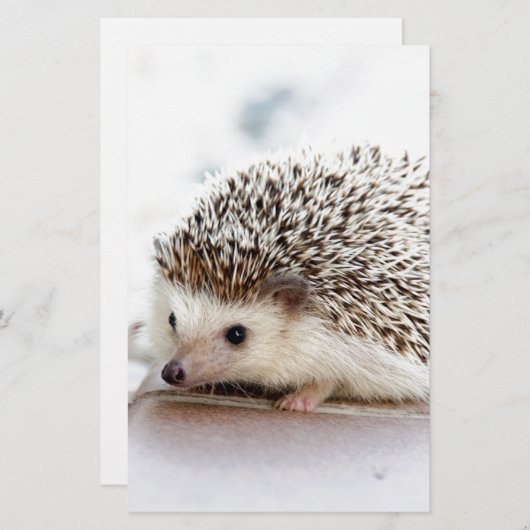 Papeterie Le hérisson mignon de bébé (Devant / Derrière)