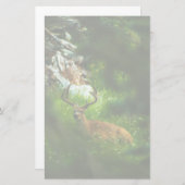 Papeterie Le Prince Forêt (Devant / Derrière)