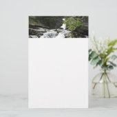 Papeterie Le ruisseau Aster dans le parc national Glacier (Debout devant)