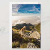 Papeterie Le voyage (Devant / Derrière)