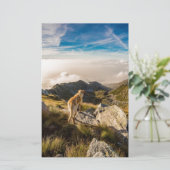 Papeterie Le voyage (Debout devant)