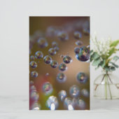 Papeterie L'eau en mouvement (Debout devant)