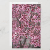 Papeterie Les fleurs de cerisiers Sakura sont roses (Devant / Derrière)