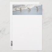 Papeterie Les oiseaux de plage dans les notes de Surf (Devant / Derrière)