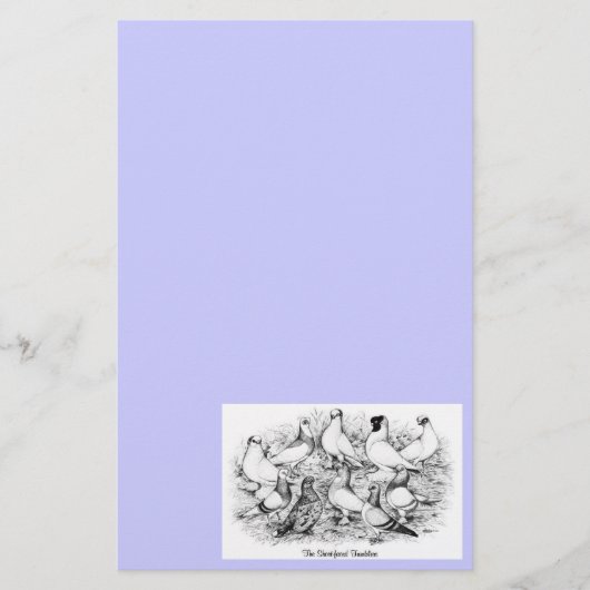 Papeterie Les Pigeons Tumbler à courte vue (Devant)