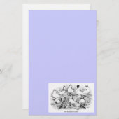 Papeterie Les Pigeons Tumbler à courte vue (Devant / Derrière)