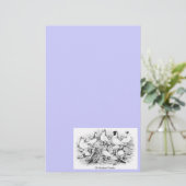 Papeterie Les Pigeons Tumbler à courte vue (Debout devant)