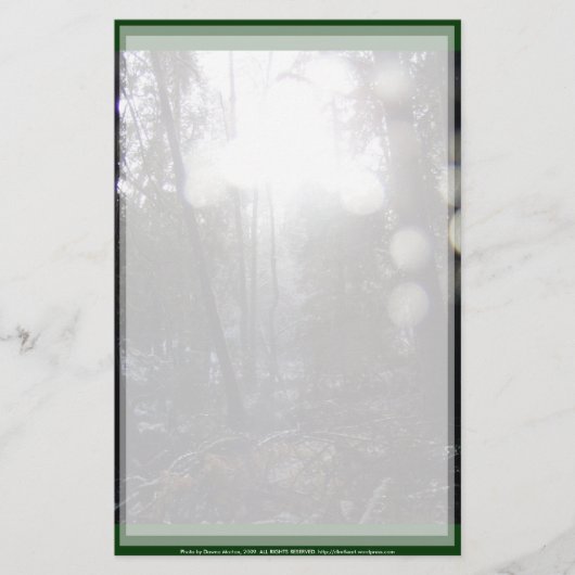 Papeterie Les rayons du soleil de la forêt dans la neige n°6 (Devant)