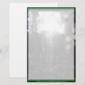 Papeterie Les rayons du soleil de la forêt dans la neige n°6 (Devant / Derrière)