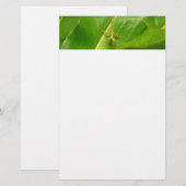 Papeterie Lézard vert sur feuille verte (Devant / Derrière)