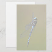 Papeterie libellule (Devant / Derrière)