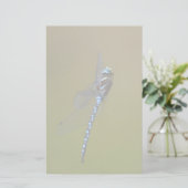 Papeterie libellule (Debout devant)