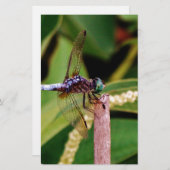 Papeterie libellule avec fleurs blanches (Devant / Derrière)