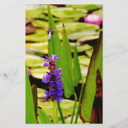 Papeterie libellule volant (Devant)