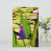 Papeterie libellule volant (Debout devant)