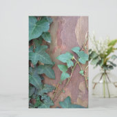 Papeterie lierre sur arbre (Debout devant)