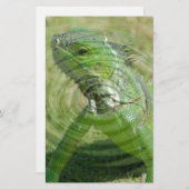 Papeterie L'Iguana verte (Devant / Derrière)