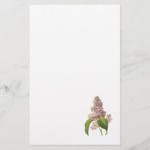 Papeterie lilas (espèces de Syringa) par Redouté