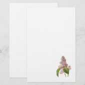 Papeterie lilas (espèces de Syringa) par Redouté (Devant / Derrière)